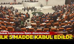 Sokak hayvanlarına ilişkin düzenlemeler: İlk 5 madde kabul edildi...