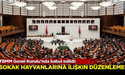 Sokak hayvanlarına ilişkin düzenleme! TBMM Genel Kurulu'nda kabul edildi...