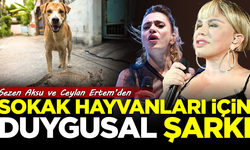 Sezen Aksu ve Ceylan Ertem'den sokak hayvanları için duygusal şarkı