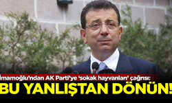 İBB Başkanı İmamoğlu'ndan AK Parti'ye 'sokak hayvanları' çağrısı: Bu yanlıştan dönün!