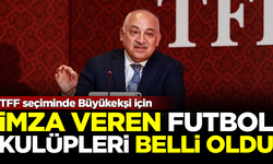 TFF seçiminde Mehmet Büyükekşi için imza veren kulüpler belli oldu