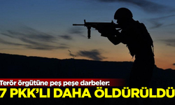 Terör örgütü PKK'ya peş peşe darbeler! 7 terörist daha öldürüldü
