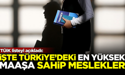 TÜİK listeyi açıkladı! İşte Türkiye'de en yüksek maaşlı meslekler...