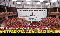 TBMM Genel Kurulu'nda 'sokak hayvanları' maratonu: Anıtpark'ta aralıksız eylem