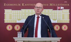 CHP'li Sarı: Orman yangınlarını söndürmek için hava gücünün yüzde 37’sini kullandılar