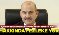 Soylu'nun dokunulmazlık başvurusunun nedeni belli oldu: Hakkında fezleke yok