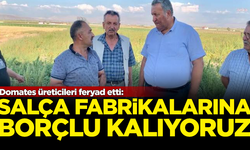 Domates üreticileri feryad etti: Salça fabrikalarına borçlu kalıyoruz