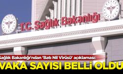 Sağlık Bakanlığı'ndan 'Batı Nil Virüsü' açıklaması: Vaka sayısı belli oldu