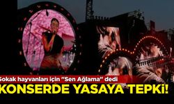 Konserde yasaya tepki; Sokak hayvanları için "Sen Ağlama" dedi