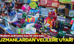 Okulların açılmasına kısa bir süre kala: Uzmanlardan velilere uyarı