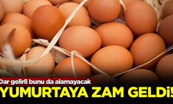 Yumurta fiyatlarına zam geldi! Dar gelirli bunu da alamayacak