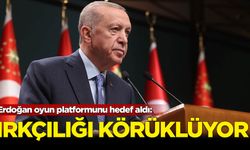 Erdoğan oyun platformunu hedef aldı: Irkçılık da körükleniyor