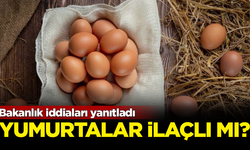 Tarım Bakanlığı iddiaları yanıtladı! Satılan yumurtalar ilaçlı mı?