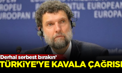 Avrupa Konseyi'nden Türkiye'ye Osman Kavala çağrısı: Derhal serbest bırakın