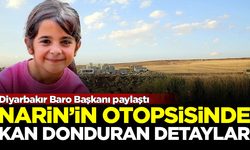 Narin'in otopsisinde kan donduran detaylar! Diyarbakır Baro Başkanı paylaştı