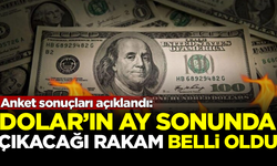 Anket sonuçları açıklandı! Dolar'ın çıkacağı rakam belli oldu