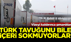 Vizeyi kaldırınca şımardılar! Türk tavuğunu bile içeri sokmuyorlar