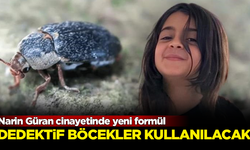 Narin Güran cinayetinde yeni formül! Dedektif böcekler kullanılacak