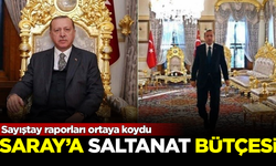 Sayıştay raporları ortaya koydu! Saray'a saltanat bütçesi