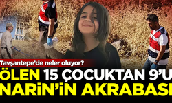 Tavşantepe'de daha önce ölen 15 çocuktan 9'u, Narin'in akrabası çıktı