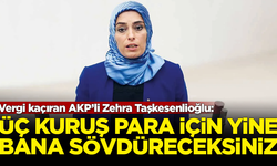 Vergi kaçıran AKP'li Zehra Taşkesenlioğlu'ndan pişkin açıklama: Üç kuruş para için bana yine günlerce sövdüreceksiniz