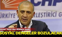 Gürsel Tekin'den iktidara tepki: Sosyal dengeler bozulacak