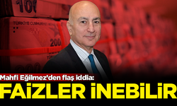 Ünlü iktisatçı Mahfi Eğilmez'den flaş iddia: Faizler inebilir