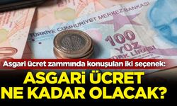 Asgari ücret zammında konuşulan iki seçenek: Asgari ücret ne kadar olacak?