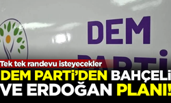 DEM Parti'den Bahçeli ve Erdoğan planı! Tek tek randevu isteyecekler