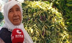 Kilosu 70 liraya çıkan turşuluk biberin fiyatı yurttaşı bezdirdi: 'Emekliler bir şey yemesin, soğan ekmek...'