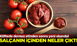 Köftede domuz etinden sonra yeni skandal! Salçanın içindekiler şok etti