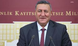 Ömer Fethi Gürer: Kırsalda küçük çiftçiler için 2024 yılı kapkara bir yıla dönüştü