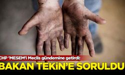 CHP 'MESEM'i Meclis gündemine getirdi: Bakan Tekin'e soruldu