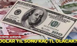 Anketle açıklandı: Dolar yıl sonu kaç TL olacak?