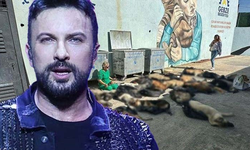 Megastar Tarkan'dan Gebze'deki katliama sert tepki