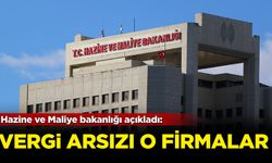 Hazine ve Maliye Bakanlığı açıkladı: Vergi arsızı o firmalar!