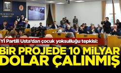 İYİ Partili Usta: Bir projede 10 milyar dolar çalınmış