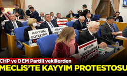 CHP ve DEM Partili vekillerden Meclis'te 'kayyım' protestosu