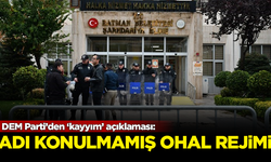 DEM Parti'den 'kayyım' açıklaması: Adı konulmamış OHAL rejimi