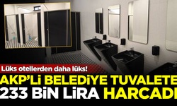 Lüks otellerden daha lüks! AKP'li belediye tuvalete 233 bin TL harcadı