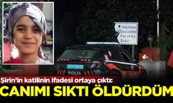 Şirin’in katilinin ifadesi ortaya çıktı: Canımı sıktı, ben de öldürdüm