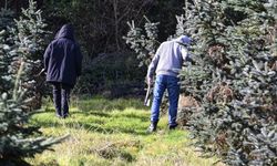 Bakanlık tüm izinleri kaldırdı: Tüm personel yılbaşı ağacı nöbetinde