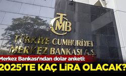 Merkez Bankası'ndan dolar anketi: 2025'te kaç lira olacak?