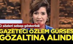 Gazeteci Özlem Gürses gözaltına alındı