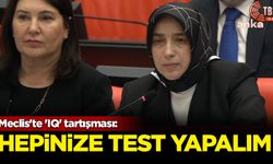 Meclis'te 'IQ' tartışması: Hepinize test yapalım