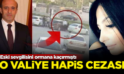 Eski sevgilisini ormana kaçırmıştı... O valiye 10 ay hapis cezası