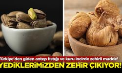 Yediklerimizden 'zehir' çıkıyor: Antep fıstığı ve kuru incirde 'zehirli' madde!