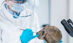 Neandertaller olmasaydı 'soyumuz tükenebilirdi'