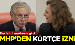 MHP'den DEM Parti'ye 'Kürtçe' izni! Meclis tutanaklarına girdi