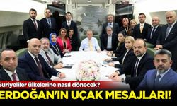 Suriyeliler ülkelerine nasıl dönecek?